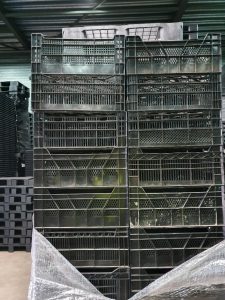Leliekratten nieuw van eerste kwaliteit